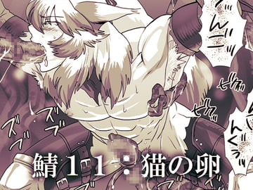 鯖11:猫の卵 [しめさば]