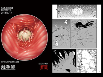 触手卵 [カメムシ]