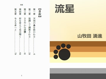 流星 [Gradual Improvement]