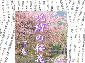 呪縛の桜花(下) [valencia]