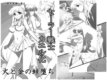 火と金の蛙堕ち [堕落事故調査委員会]