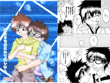 誰よりも傍にいて欲しい人 [流星海賊団]