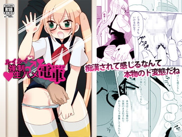 ルイルイ強○生ハメ電車 [DryR]