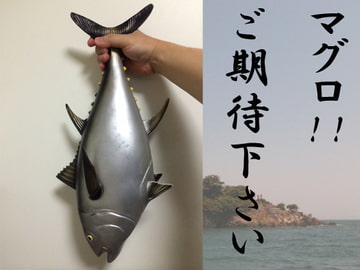 マグロ!!ご期待下さい [歌声詐欺]