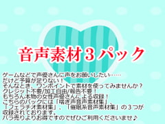 音声素材3パック [Junky-Soft]