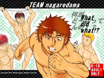 What did what!? [TEAMながれだま]