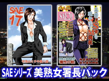 SAEシリーズ〜美熟女署長パック [冴]