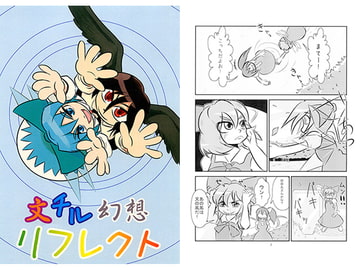 文チル幻想リフレクト [メタグロスタイガー]