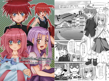 Umbilical Memories ～忘れえぬ思い出～ vol.2 [縁側岩塩]