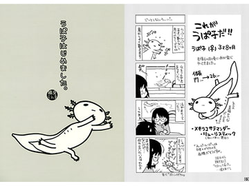 うぱ子はじめました [猫丸印]