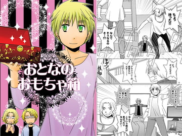 おとなのおもちゃ箱 [ひだりや]