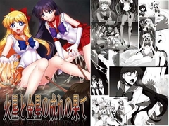 火星と金星の成れの果て [堕落事故調査委員会]