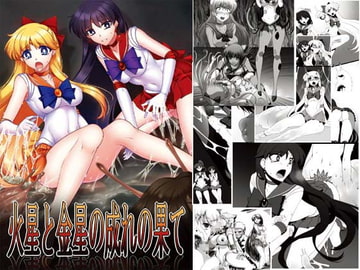 火星と金星の成れの果て [堕落事故調査委員会]