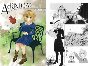 ARNICA [スタジオストライク]