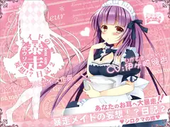 暴走メイドの妄想!?日記2