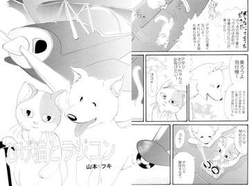 ひげ猫とラジコン [ノラドラストーリー]