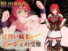 見習い騎士アーシェの受難 Ver.1.0.2 [QRoss]