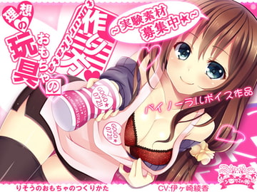 理想の玩具の作り方～実験素材募集中☆～ [シロクマの嫁]