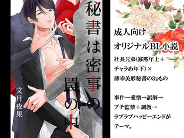 秘書は密事の罠の中 ～上巻～ [スパイダーリコリス]