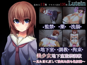 美少女地下室監禁調教~見た目に反して強気な娘も牝奴○~ [るていん]