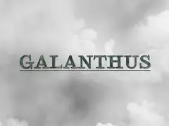 GALANTHUS