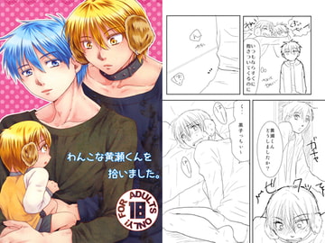 わんこな黄瀬くんを拾いました。 [critical mozaiker]