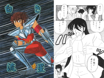 白き流星 [なりゆきだぁ！]