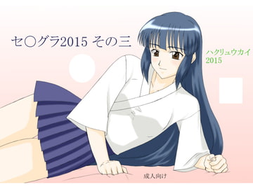 セ○グラ2015 その三 [FSI]