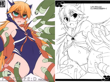 FLAT TYPE:D PRECEDING [Falcon's Nest]