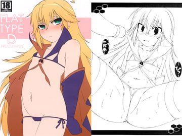 FLAT TYPE:D PRECEDING2 [Falcon's Nest]