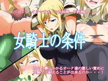 女騎士の条件 [史茶屋]