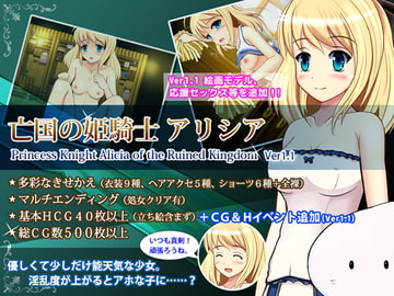 亡国の姫騎士アリシア [あんみつや]