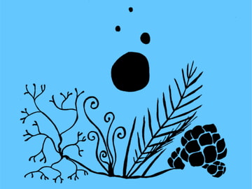 水載舟 [底浅舟着場]