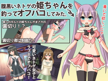 腹黒いネトゲの姫ちゃんを釣ってオフパコしてみた。 [妄想Black]