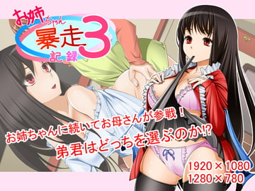 お姉ちゃん暴走記録3 [紅葉works]