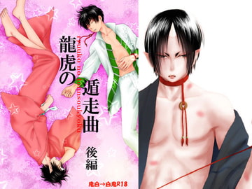 龍虎の遁走曲【後編】 [イーハトーヴォステイション]