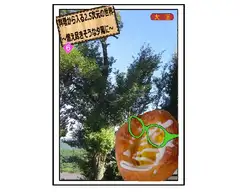 料理から入る 2.5次元の世界～燃え尽きそうな夕陽に～