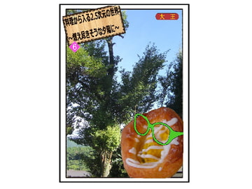 料理から入る 2.5次元の世界～燃え尽きそうな夕陽に～ [大恩堂]