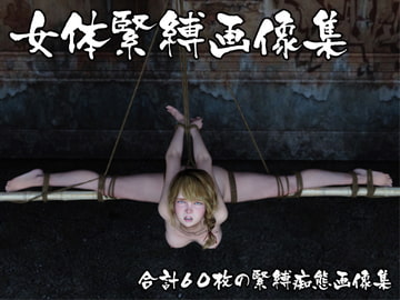 女体緊縛画像集 [ポザ孕]