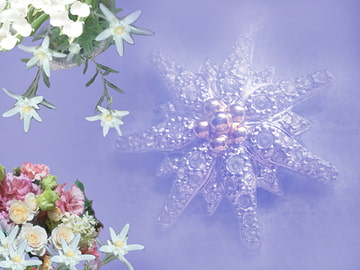 Floarea-reginei [Take it Easy]