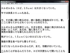 エビの話 エルゼルさん