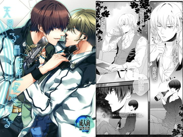 天見る鳥は星に恋する [ABSOLUTE TERRITORY]