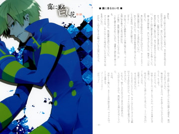 靄に薫る白い花 [ヴィラル親衛隊]