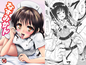 なすみかん [しあわせ甘味料]