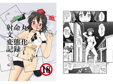 射命丸文変態化記録 [あめしょー]
