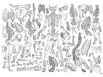 楽苦画鬼 [uncommunity]