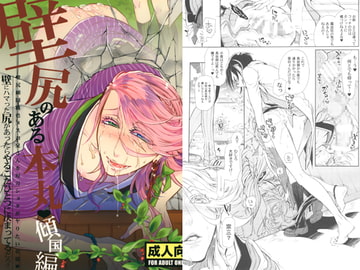 壁尻のある本丸　傾国編/和睦編 [Heavy syrup]