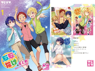 ももたけのまとめ 1 [ジェミニ研究所]