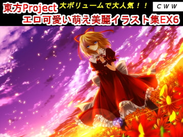東方Project エロ可愛い萌え美麗イラスト集EX6 [CWW]