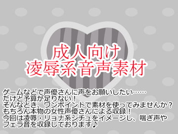 凌○系音声素材集 [Junky-Soft]